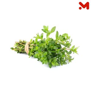 زعتر خضار _ حزمة