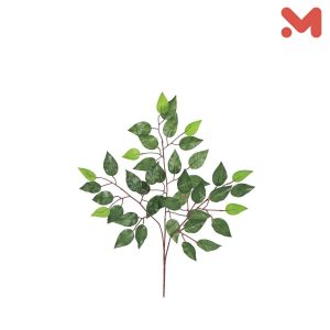 شجره فمبخيا 12 ورقه