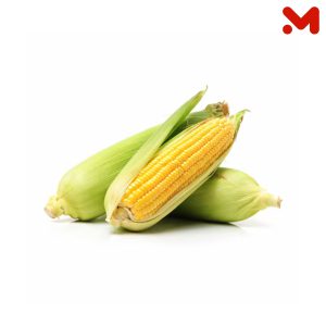كوز ذره _قطعة