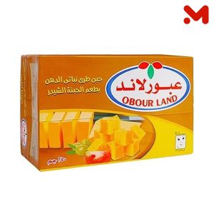 جبنتي جبنة شيدر تتراباك 250جم
