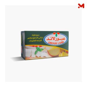 عبورلاند جبن فلمنك تتراباك 250جم