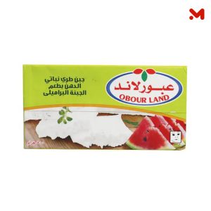 عبورلاند جبنة براميلي تتراباك 500جم
