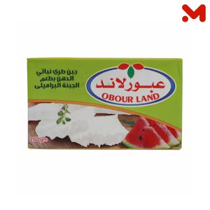 عبورلاند جبنة براميلي تتراباك 250جم
