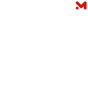 ويلز خلطة بهارات عربيه ( سبع بهارات ) 100 جم
