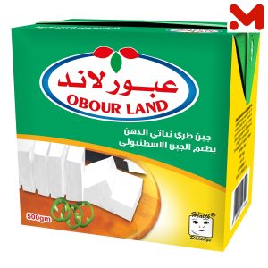 عبور لاند جبن اسطنبولى تتراباك500جم