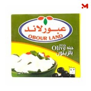 عبور لاند جبن زيتون تتراباك 500جم
