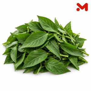 ملوخية خضراء