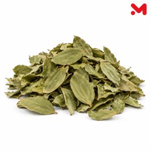 ورق سدر